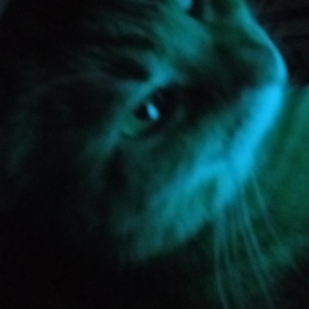 𝔗𝔥𝔢𝔞𝔫𝔞⋆.