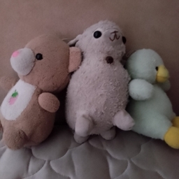 Diego Jahir Perez Tobie